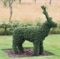 Reindeer topiary