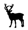 Reindeer vector silhouette illustration isolated on white background. Rein deer powerful animal.