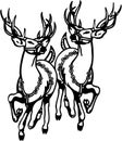 Reindeers Royalty Free Stock Photo