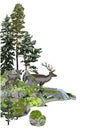 Reindeers among the coniferous trees and the rocks, covered with the green moss. Royalty Free Stock Photo