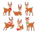 Reindeers flat vector illustrations set. Cute Santa Claus helpers with scarfs and presents. Funny deers cartoon