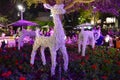 Reindeers made with branches painted white, on colorful flowerbed in Lake Buena Vista area. Royalty Free Stock Photo