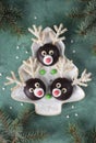 Reindeers made of cookies, chocolate, marshmallows and coconut flakes in Christmas tree-shaped plate on green background Royalty Free Stock Photo