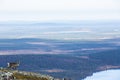 Reindeers in Yllas Pallastunturi National Park, Lapland, northern Finland