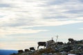 Reindeers in Yllas Pallastunturi National Park, Lapland, northern Finland