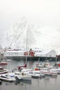 Reine fishing village on Lofoten islands with red rorbu houses in winter with snow. Lofoten islands, Norway, Europe Royalty Free Stock Photo