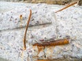 Reinforced concrete. Destroyed building material. Rusty iron. Reinforced concrete wall. Construction garbage. consequences of Royalty Free Stock Photo