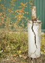 Reinforced concrete pillar with a crack;