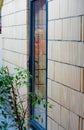 Reinforced plastic glass door. Aerated concrete block wall