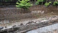 The reinforcing bars are rusted around the construction site. Royalty Free Stock Photo