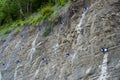 Landslide and rock sliding prevention in Georgia, reinforcing mountain slope with metal mesh. Royalty Free Stock Photo