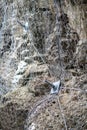 Landslide and rock sliding prevention in Turkey, reinforcing mountain slope with metal mesh. Royalty Free Stock Photo