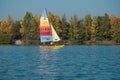 Rainbow catamaran sailing on the lake of reiningue on autumnal trees background