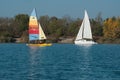 Rainbow catamaran sailing and white sailing on the lake of reiningue on autumnal trees background Royalty Free Stock Photo