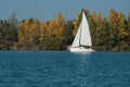 White sailing on the lake of reiningue on autumnal trees background