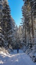 Reinischkogel - Man with snow shoes on scenic hiking trail through snowy forest path leading to Reinischkogel