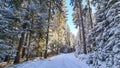 Reinischkogel - Scenic hiking trail through snowy forest path leading to Reinischkogel, Koralpe