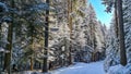 Reinischkogel - Scenic hiking trail through snowy forest path leading to Reinischkogel, Koralpe