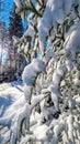 Reinischkogel - Tree branches carrying heavy snow. Scenic hiking trail in snowy forest path