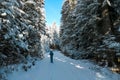 Reinischkogel - Woman with snow shoes on scenic hiking trail through snowy forest path leading to Reinischkogel