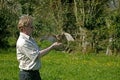 Reintroducing European Sparrowhawk, accipiter nisus, Dame Blanche Wildlife Proctection Center in Normandy