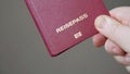 Reisepass is German for passport
