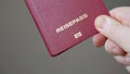 Reisepass is German for passport Royalty Free Stock Photo