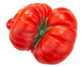 Reisetomate heirloom ribbed tomato Solanum lycopersicum fruit isolated