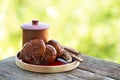 Reishi , lingzhi or Ganoderma lucidum mushroom on natural background