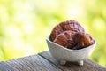 Reishi , lingzhi or Ganoderma lucidum mushroom on natural background