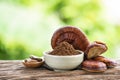 Reishi or lingzhi mushroom and powder on natural background