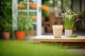 rejuvelac in a garden setting, surrounded by potted wheatgrass