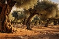 Rejuvenating Olives tree oil. Generate Ai