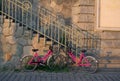 Rekola - vintage retro pink bikes and bicycles for rent. Royalty Free Stock Photo
