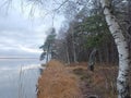 Rekyva forest and lake during cloudy autumn day