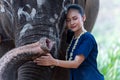 Relationship between Asian people and elephant, Thai lady beautiful dressing traditional northern style touching elephants trunk