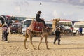 The relationship between Bedouins and tourists in the Sahara desert. Riding on dromedaries.