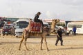 The relationship between Bedouins and tourists in the Sahara desert. Riding on dromedaries.