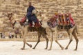 The relationship between Bedouins and tourists in the Sahara desert. Riding on dromedaries. The great pyramids of Giza.