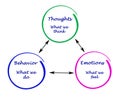 cognition, emotions, and behavior