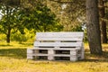 Relax area in the park with an ecological bench made with industrial pallets