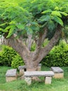 Relax bench under tree Royalty Free Stock Photo