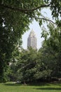 Relax in Central Park - summer Royalty Free Stock Photo