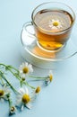 Relax. A Cup of chamomile tea.