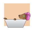 Relax Dog Takes A Bath. Vector Illustration