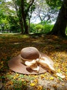 Relax on falling yellow flowers lawn in the garden Royalty Free Stock Photo