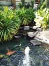 relax at the fountain in the fish pond