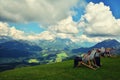 Relax at Larchfilzkogelof gondola lift station ,nature reserve in Alps, Fieberbrunn, Austria