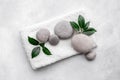 Relax and meditation with spa stones and green leaves Royalty Free Stock Photo