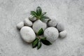 Relax and meditation with spa stones and green leaves Royalty Free Stock Photo